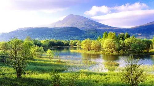 稳定性高性能智慧制造